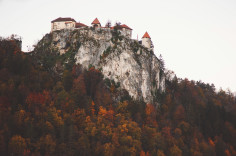 DinaraAleksander-648