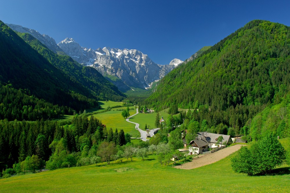 Logarska_t.jesenicnik